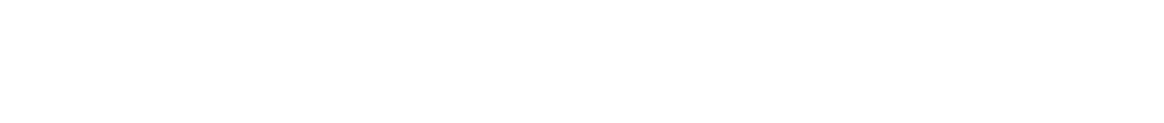 consultant